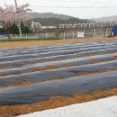 손해평가사 1차 - 재배학 및 원예작물학 이미지