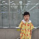 놀리 | 다나와 첫 제주도 여행 1일차 _광주공항, 카페진정성 종점, 삼해횟집, 화조원, 놀리 풀빌라, 보름숲 흑돼지