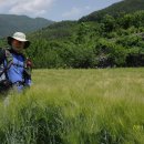 합천추모공원 이미지