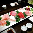 오다참치 이미지