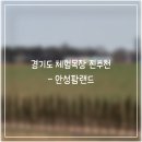 안성목장 | 안성팜랜드 아이랑 주말 나들이 후기 동물먹이주기 가능한 경기도 체험목장