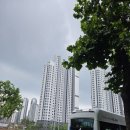 지산초등 병설 | [부동산] 사진과 호갱노노로 빠르게 보는 과천 지정타 임장