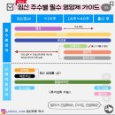 엄마 아빠를 위한 한국사 자격반 | 대만–한국을 넘나들며 보낸 임신 초기 시간 기록