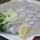 동보수산 이미지