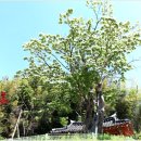 순천-36호 네이버블로그