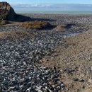 광경목장 이미지