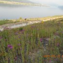 남한강변길 이미지