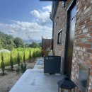 나무들의 수다 이미지