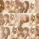 스폿라이트 이미지