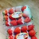 (주)푸르네 이미지