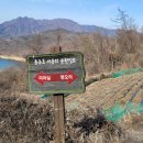 충주호수상레저 네이버블로그