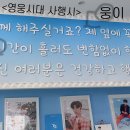 나무카페 이미지