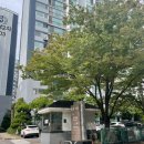 현암지하보도 | 분당선에서 6억 아파트찾기_죽전역 아파트 임장(죽전동성아파트,더리버하임,퍼스트하임 아파트)