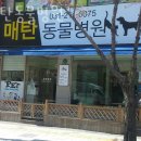 한빛동물병원 이미지