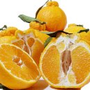 구정농장 이미지