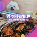 양수리갈비연 | [양평 실내 애견동반고깃집_양수리갈비연] 이 여름에 숯불갈비가 얼마나 맛있게요?