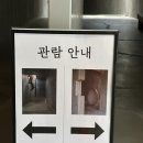 자연과인간사이 | 대구 군위 사유원 방문 후기_자연과 건축이 만나는 공간