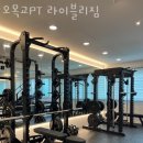 라이블리짐 이미지