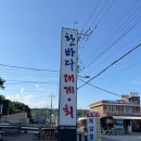 영덕 대게 맛집 추천 ㅣ "한바다대게" 홍게&대게 후기