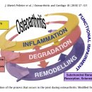 Re: electrostatic repulsive force를 유지하는 chondroitin sulfate 손실이 유발하는 osteoarthritis 논문 이미지