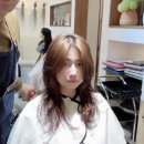 박셈살롱