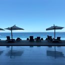 코코플레이존 | 세부 더 리프 리조트 막탄 디럭스룸 솔직후기 (+디파짓,냄새,배달,그랩)