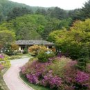 평창그린힐리조트