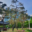 삼익소월(아)경로당 | 동춘당의 늦봄