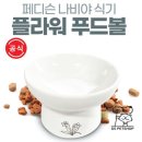 지에스펫 이미지