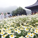 “도시에 없는 우리 꽃 여기 다 있네” / 청도 운문사 이미지