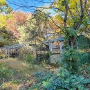 여주-1065 이미지