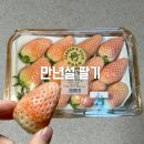 이마트 만년설 딸기 후기::하얀딸기