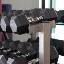 디아더짐 이미지