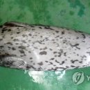 옥도면 주민센터 이미지