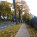[핼리팩스라이프]10월26일, 캐나다 핼리팩스, 낙엽이 낭만적인 핼리팩스의 월요일 이미지