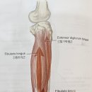 용하다한의원 이미지