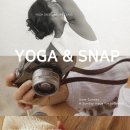 씨드요가 이미지