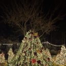 봉한3길-4 | 구미 고아읍 모에누베이커리 | 눈 내리는 트리존과 크리스마스 감성 가득!