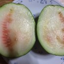 주빈농장 이미지