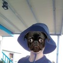 민경민박 이미지