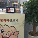 돈뜰꽃돼지 이미지