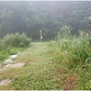 경안천 운학동 이미지