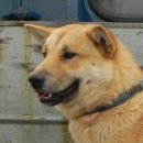 연포농장 이미지