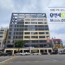연세스타약국