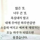 내 인생 다시 한 번/노래 나훈아 이미지