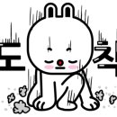선흘아이