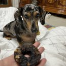 맘마드멍 이미지