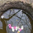 개화마을 이미지