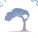 퐁낭아래 이미지