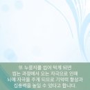 밥을 태운 누룽지가 왜 건강에 좋은가? 보약이나 다름없는 누룽지의 효능 이미지